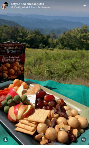 BStylie's Outdoor CheeseBall Bite Charcuterie Board - CheeseButta - Gourmet Products